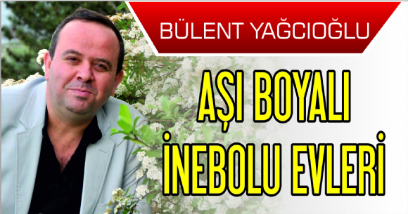 AI BOYALI NEBOLU EVLER